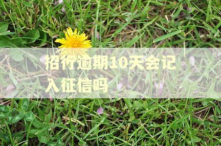 招行逾期10天会记入征信吗