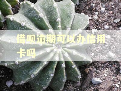 借呗逾期可以办信用卡吗