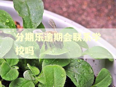 分期乐逾期会联系学校吗