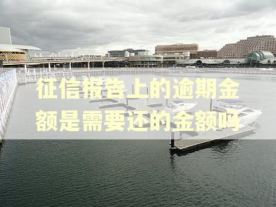 征信报告上的逾期金额是需要还的金额吗