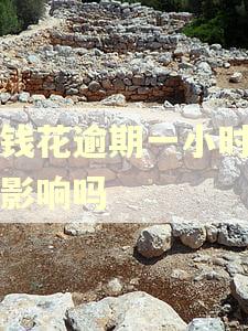 有钱花逾期一小时会有影响吗