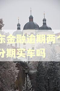 京东金融逾期两个月能分期买车吗