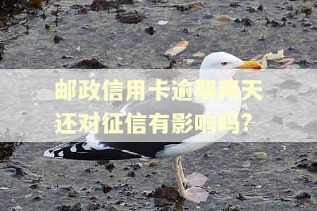邮政信用卡逾期两天还对征信有影响吗?