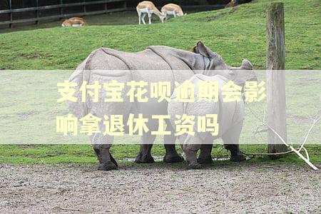 支付宝花呗逾期会影响拿退休工资吗