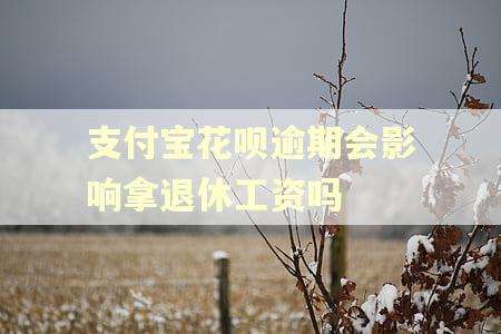 支付宝花呗逾期会影响拿退休工资吗 支付宝花呗逾期会影响拿退休工资吗