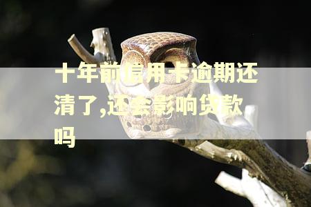 十年前信用卡逾期还清了,还会影响贷款吗
