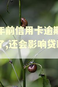 十年前信用卡逾期还清了,还会影响贷款吗