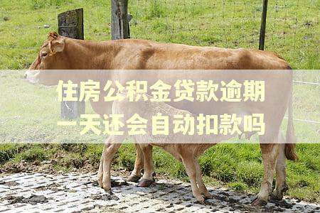 住房公积金贷款逾期一天还会自动扣款吗