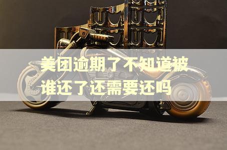 美团逾期了不知道被谁还了还需要还吗