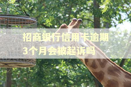 招商银行信用卡逾期3个月会被起诉吗