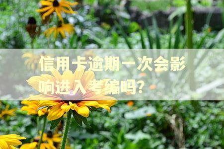 信用卡逾期一次会影响进入考编吗？