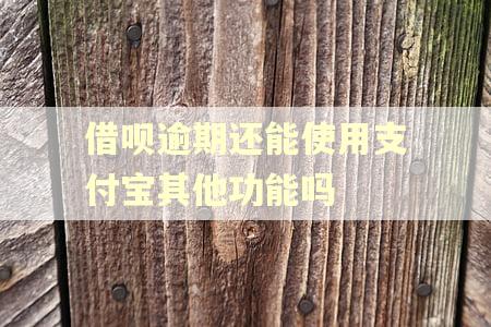 借呗逾期还能使用支付宝其他功能吗