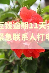 豆豆钱逾期11天会给紧急联系人打电话吗