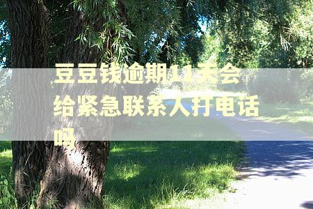 豆豆钱逾期11天会给紧急联系人打电话吗