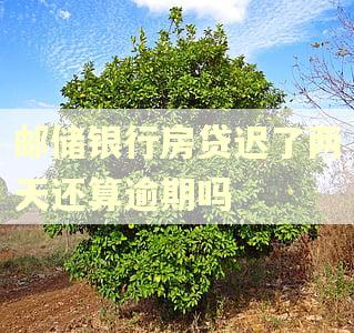 邮储银行房贷迟了两天还算逾期吗