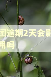 美团逾期2天会影响信用吗