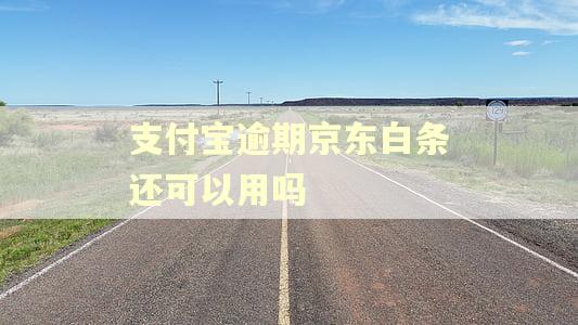 支付宝逾期京东白条还可以用吗