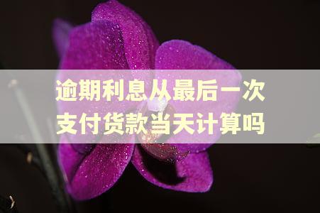逾期利息从最后一次支付货款当天计算吗