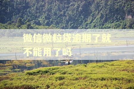微信微粒贷逾期了就不能用了吗