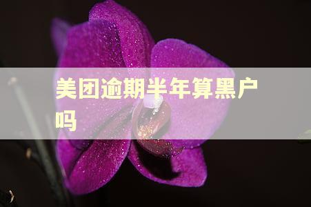 美团逾期半年算黑户吗