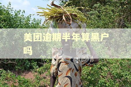 美团逾期半年算黑户吗