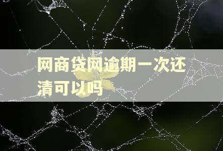 网商贷网逾期一次还清可以吗