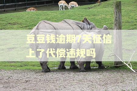 豆豆钱逾期7天征信上了代偿违规吗