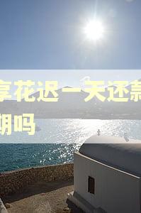 宜享花迟一天还款算逾期吗