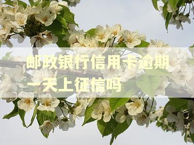 邮政银行信用卡逾期一天上征信吗