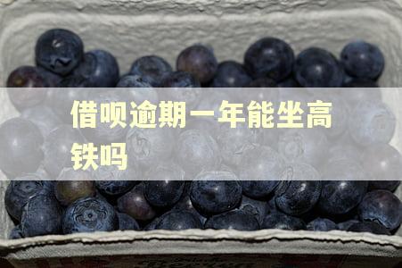 借呗逾期一年能坐高铁吗