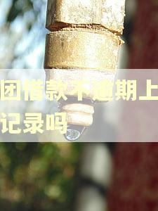美团借款不逾期上征信记录吗