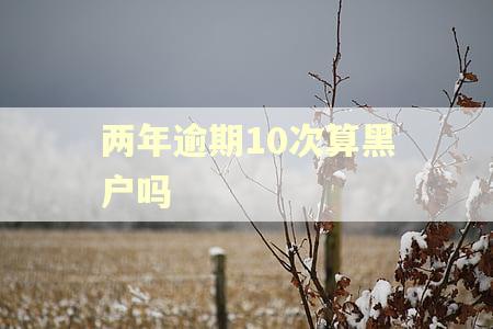 两年逾期10次算黑户吗