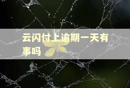 云闪付上逾期一天有事吗