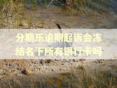 分期乐逾期起诉会冻结名下所有银行卡吗