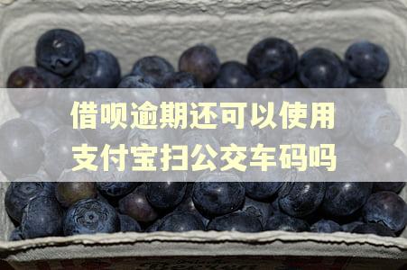 借呗逾期还可以使用支付宝扫公交车码吗