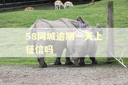 58同城逾期一天上征信吗