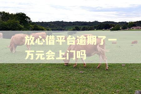 放心借平台逾期了一万元会上门吗
