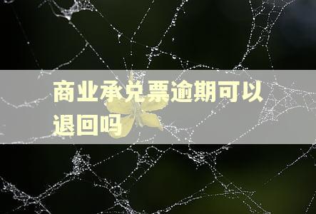 商业承兑票逾期可以退回吗