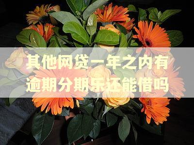 其他网贷一年之内有逾期分期乐还能借吗
