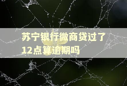苏宁银行微商贷过了12点算逾期吗