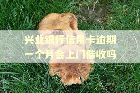 兴业银行信用卡逾期一个月会上门催收吗