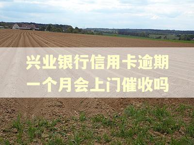 兴业银行信用卡逾期一个月会上门催收吗