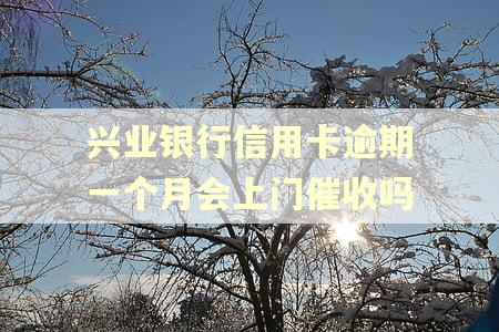 兴业银行信用卡逾期一个月会上门催收吗