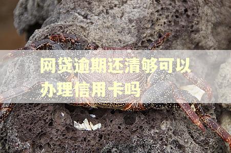 网贷逾期还清够可以办理信用卡吗