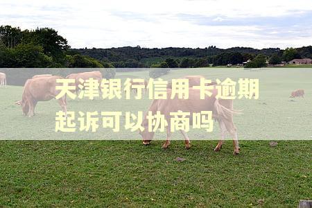 天津银行信用卡逾期起诉可以协商吗