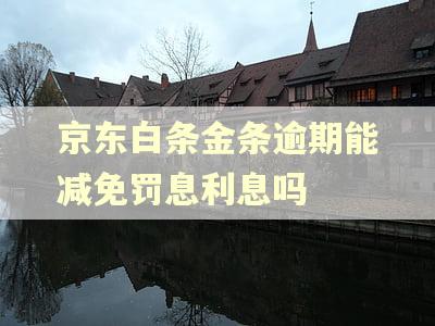 京东白条金条逾期能减免罚息利息吗