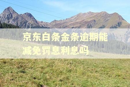 京东白条金条逾期能减免罚息利息吗 京东白条金条逾期能减免罚息利息吗