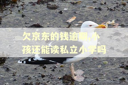 欠京东的钱逾期,小孩还能读私立小学吗