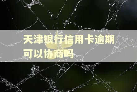 天津银行信用卡逾期可以协商吗