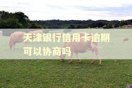 天津银行信用卡逾期可以协商吗